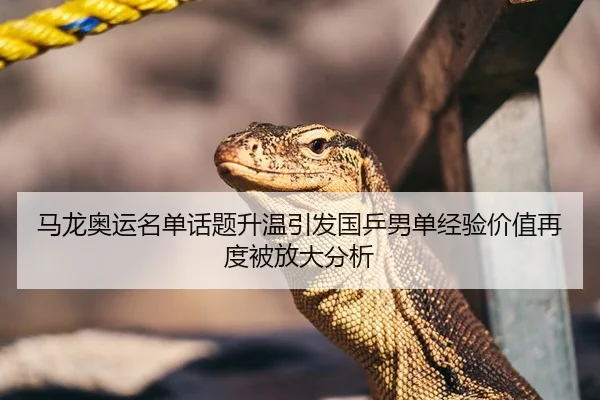 马龙奥运名单话题升温引发国乒男单经验价值再度被放大分析