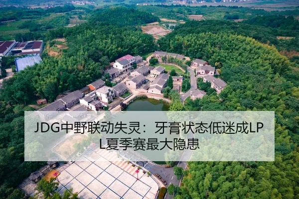 JDG中野联动失灵：牙膏状态低迷成LPL夏季赛最大隐患