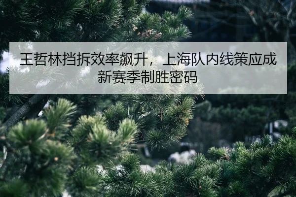 wang-zhe-lin-dang-chai-xiao-lv-biao-sheng-shang-hai-dui-nei-xian-ce-ying-cheng-xin-sai-ji-zhi-sheng-mi-ma-2-943.jpg