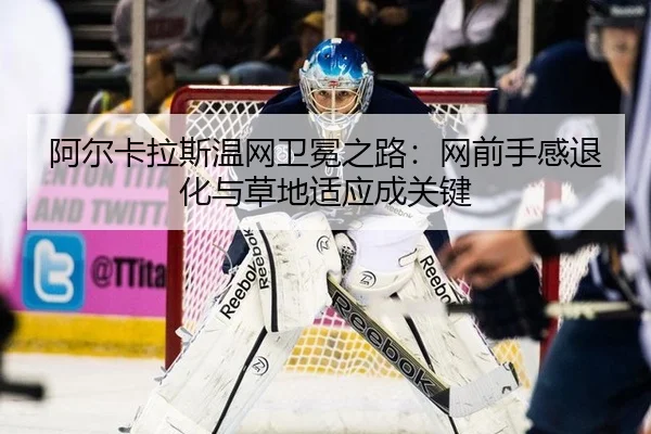 a-er-ka-la-si-wen-wang-wei-mian-zhi-lu-wang-qian-shou-gan-tui-hua-yu-cao-di-shi-ying-cheng-guan-jian-2-743.jpg